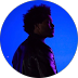 https://www.greicekronbauer.com.br/wp-content/uploads/2025/08/Jessica.png
